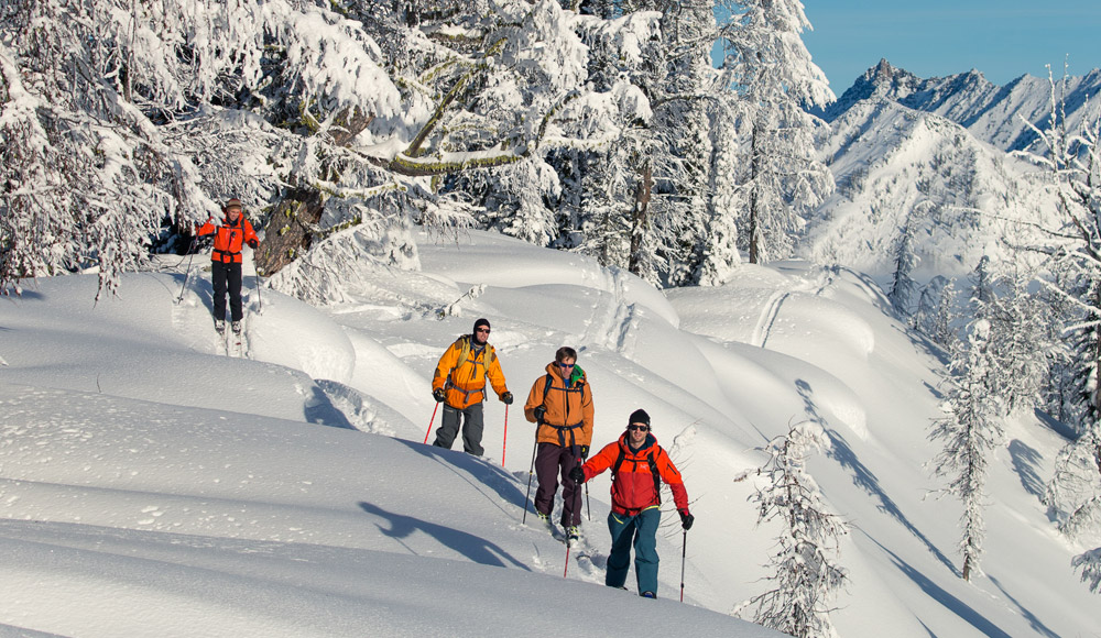 Cat-Assisted Ski Touring